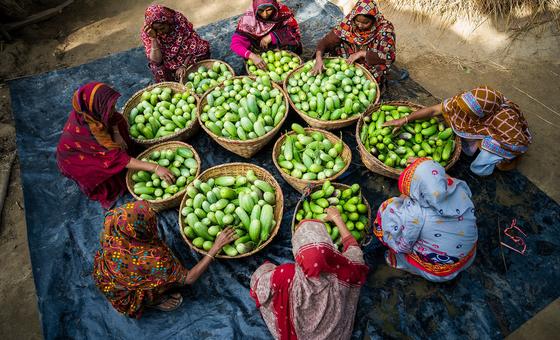 वैश्विक खाद्य बाज़ारों पर मौसम और भूराजनैतिक जोखिमों का साया