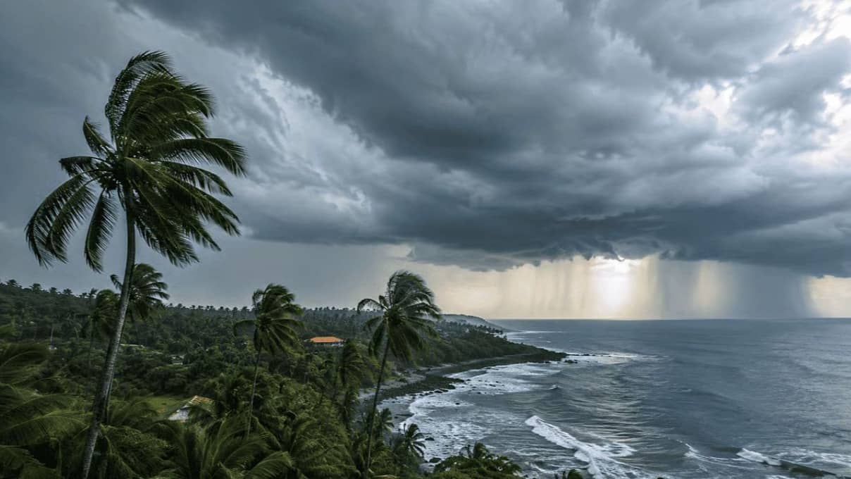 Weather: केरल में आज से मानसून की एंट्री, 17 राज्यों में बारिश और तूफान का अलर्ट; जानें दिल्ली-NCR में कैसा रहेगा मौसम