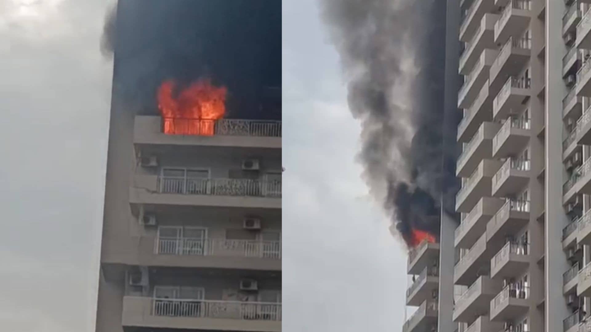 BREAKING: नोएडा की पॉश सोसाइटी के फ्लैट में भीषण आग लगने से मची अफरा-तफरी, मौके पर पहुंची फायर ब्रिगेड की गाड़ियां