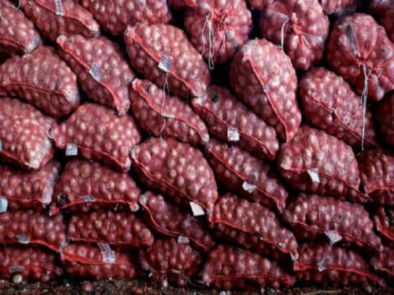 Onion Price: प्याज की कीमतों को लेकर महाराष्ट्र में घमासान जारी, विपक्षी नेताओं की मांग ₹3,000 प्रति क्विंटल मिले भाव