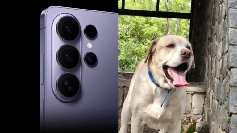 Samsung ने पेश किया नया AI फीचर, सिर्फ फोटो देखकर बताएगा आपके पालतू जानवर की बीमारी