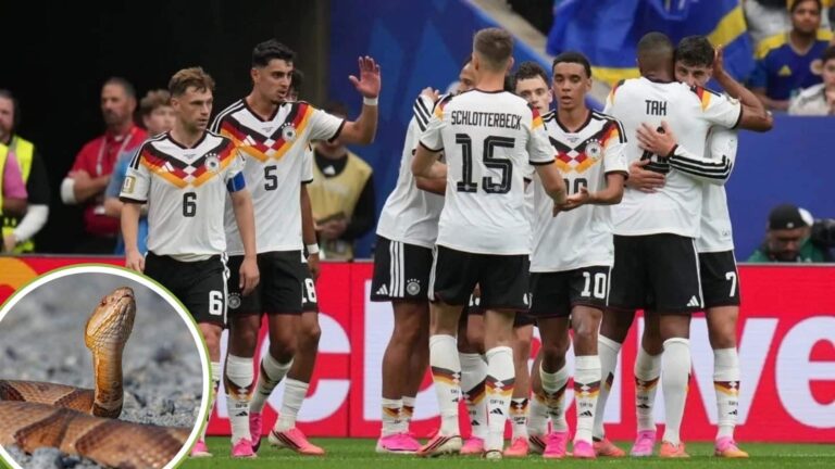 World Cup 2026: खेल के बीच खौफ! जर्मनी के खिलाड़ियों के बीच पहुंचा जहरीला सांप, तुरंत बढ़ी सिक्योरिटी