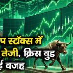 लॉर्जकैप स्टॉक्स में आएगी तेजी, क्रिस वुड ने बताई वजह