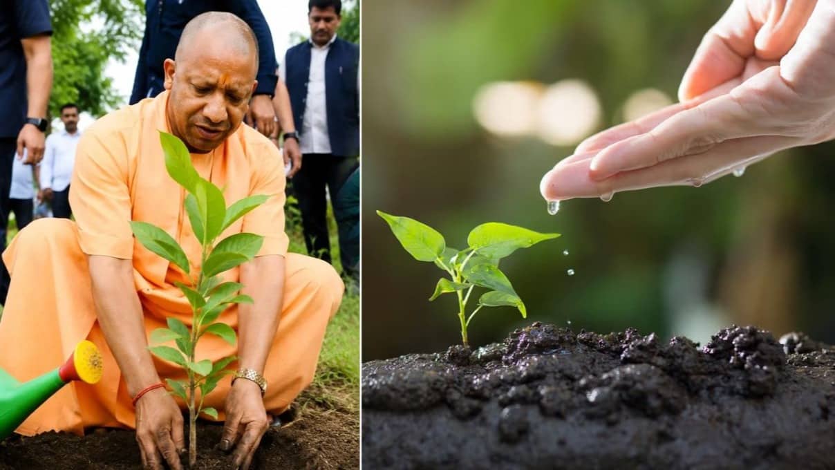 UP में आज 35 करोड़ पौधे लगाए जाएंगे, मुख्यमंत्री योगी आदित्यनाथ गोरखपुर में पौधा रोपकर करेंगे अभियान की शुरुआत