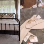 VIDEO: यूपी से शिलॉन्ग घूमने गए लोगों ने Airbnb से बुक प्रॉपर्टी का किया बुरा हाल, होस्ट ने उनकी शर्मिंदा करने वाली करतूतों की पूरी लिस्ट बताई