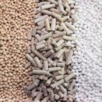 Devson Catalyst IPO Listing: लिस्ट होते ही लोअर सर्किट, निचले स्तर से ₹118 के शेयरों की तेज रिकवरी, अपर सर्किट पर बंद