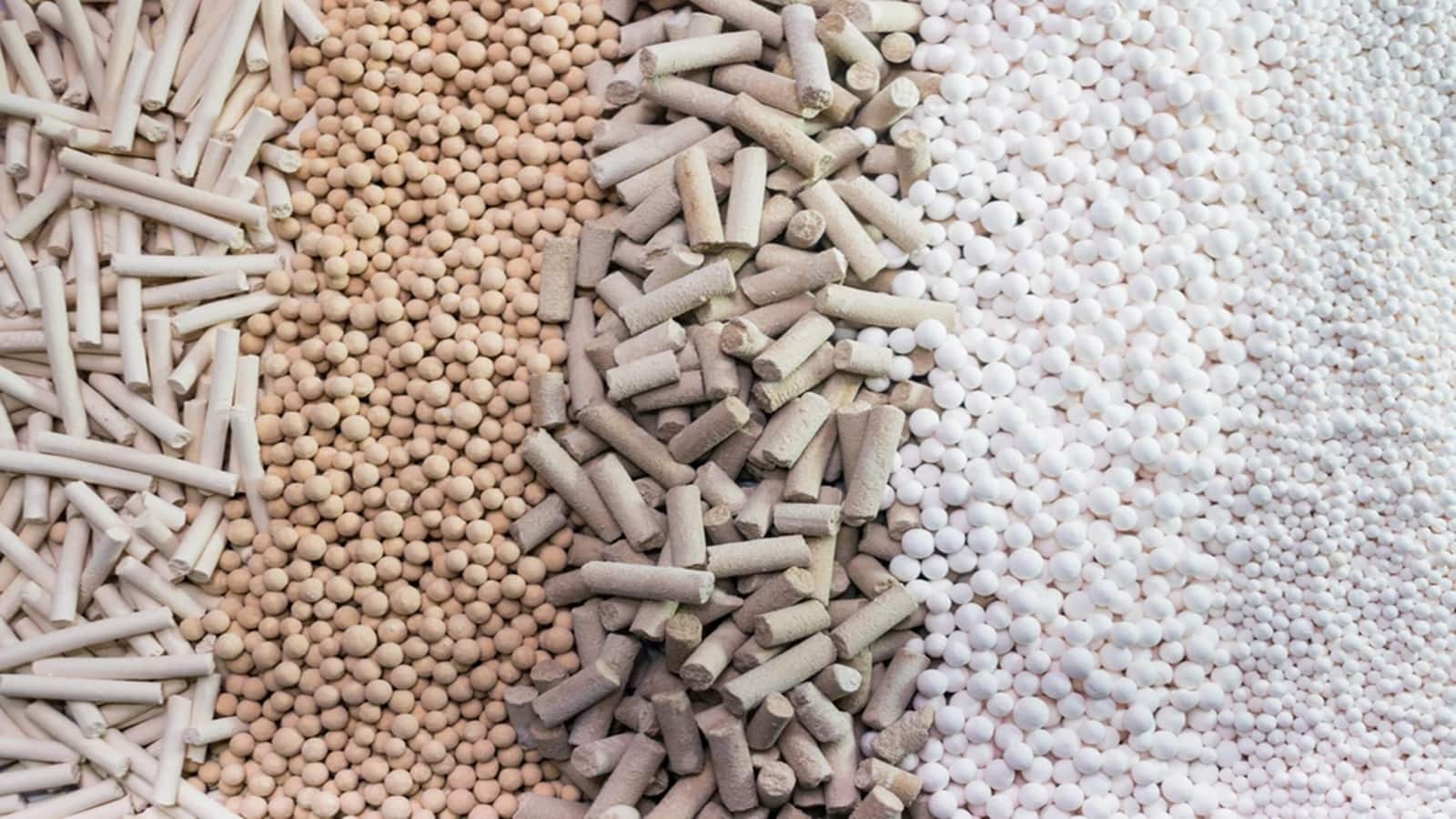 Devson Catalyst IPO Listing: लिस्ट होते ही लोअर सर्किट, निचले स्तर से ₹118 के शेयरों की तेज रिकवरी, अपर सर्किट पर बंद