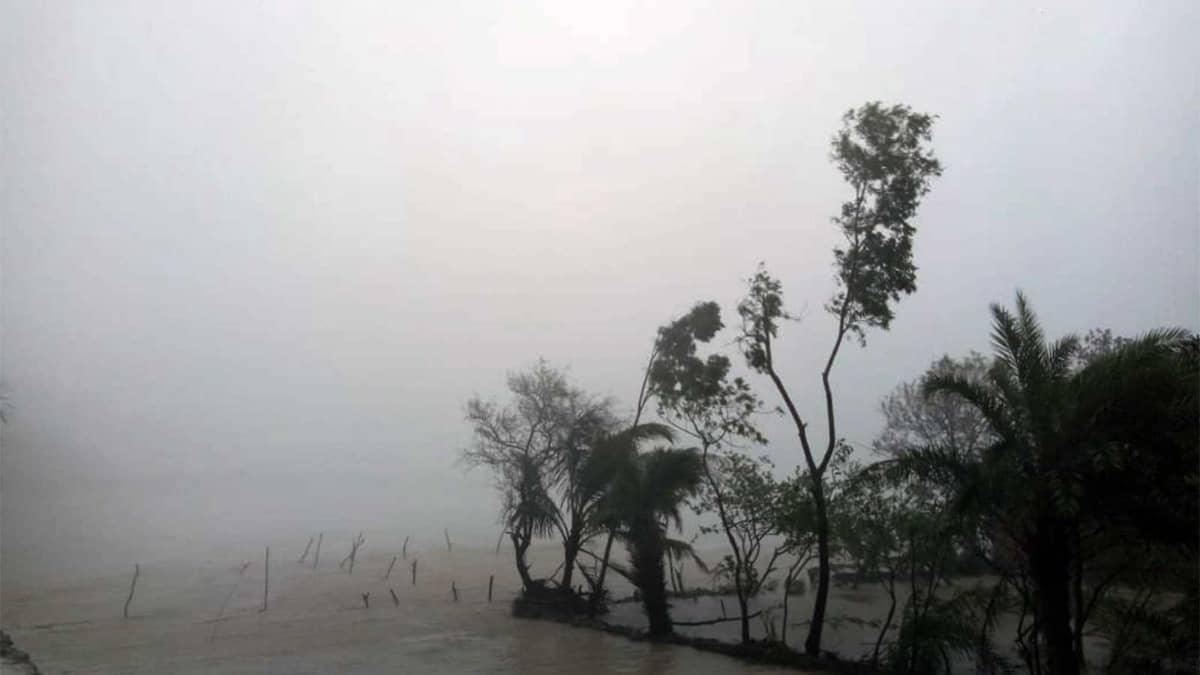 दिल्ली-NCR में मानसून ने फिर पकड़ी रफ्तार, UP-बिहार समेत 15 राज्यों में तेज बारिश का अलर्ट; जानें IMD का ताजा अपडेट