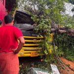 कर्नाटक में बड़ा हादसा: बच्चों को ले जा रही स्कूल बस पर गिरा पेड़, एक बच्चे की मौत, कई घायल