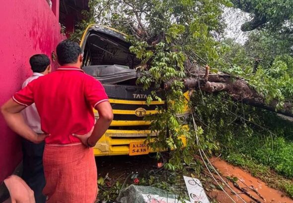 कर्नाटक में बड़ा हादसा: बच्चों को ले जा रही स्कूल बस पर गिरा पेड़, एक बच्चे की मौत, कई घायल