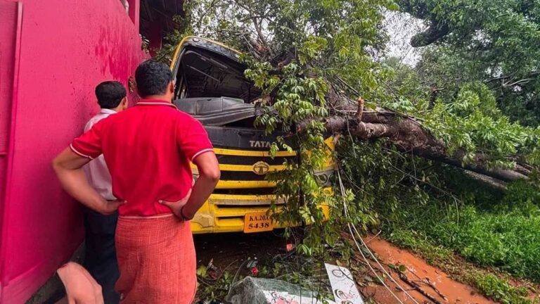 कर्नाटक में बड़ा हादसा: बच्चों को ले जा रही स्कूल बस पर गिरा पेड़, एक बच्चे की मौत, कई घायल