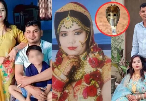 दूध में मिलाई नींद की गोलियां, फिर पति को सांप से डंसवाया... दामिनी को कौन लाकर देता था नशीली गोलियां? पुलिस ने इस शख्स को किया गिरफ्तार