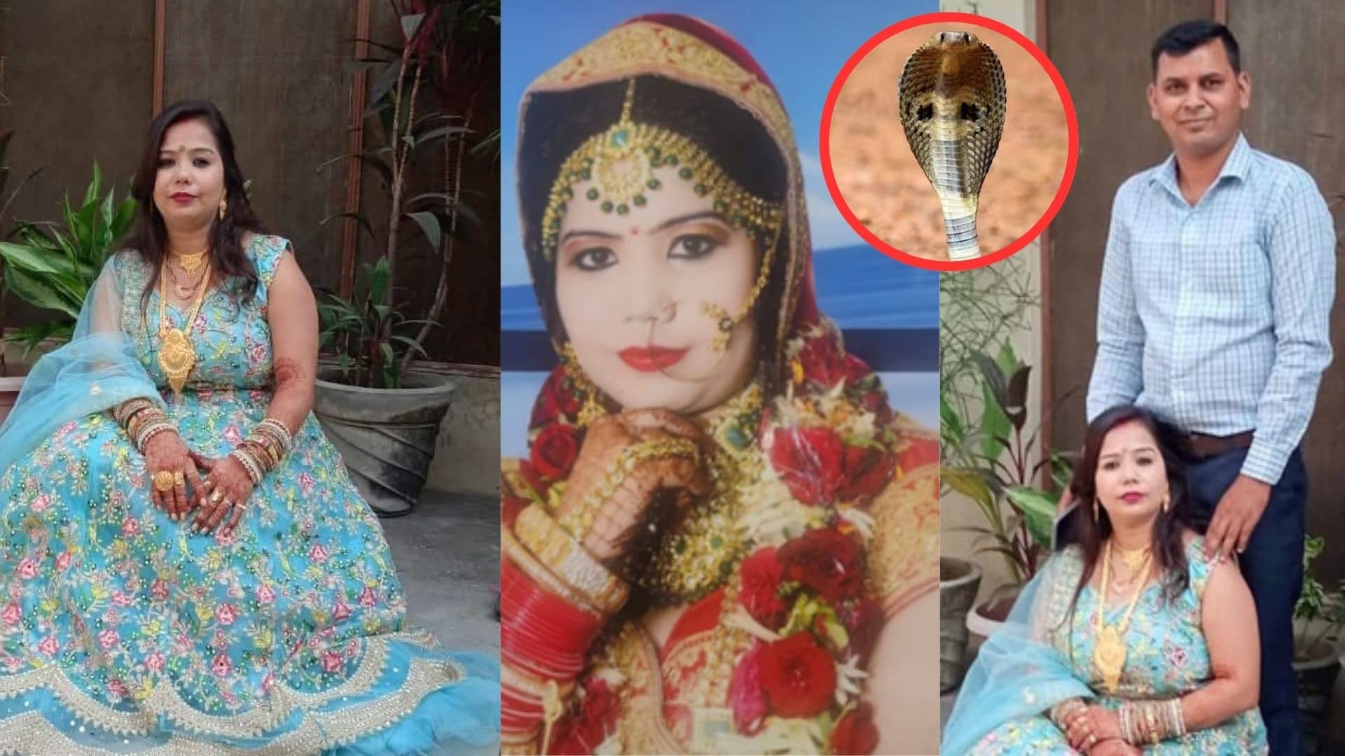 ड्राइवर से इश्‍क, नींद की गोली और...पत्‍नी ने प्रेमी संग मिल पति को सांप से डसवाकर मार डाला, नीले ड्रम वाली से भी शातिर निकली मेरठ की दामिनी