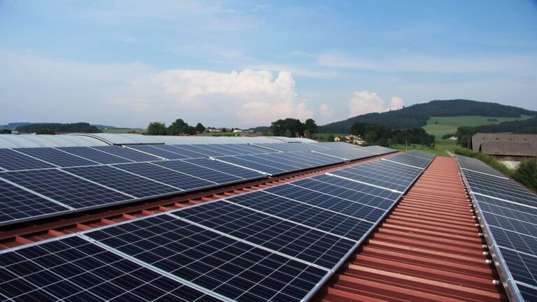 Waaree Energies Share Price: सोलर पीवी मॉड्यूल मेकर का शेयर 6% तक लुढ़का, Q1 नतीजों के बाद सेलिंग; अब क्या करें?