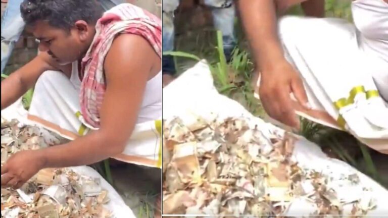 Video: 8 साल तक पति से छिपाकर जमा किए 12 लाख, ट्रंक खोला तो उड़ गए होश, चूहों ने कुतर डाले नोट