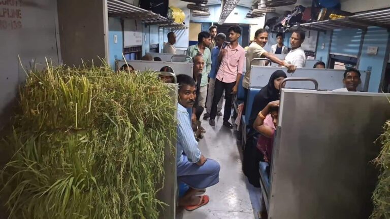 Bihar Train News: बाढ़ में डूबे गांव तो मवेशियों के लिए दौड़ी बिहार की 'घास ट्रेन', सुबह निकलते हैं किसान, शाम को लौटते हैं गठरियों के साथ