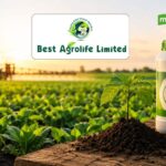 Best Agrolife Share: 3 दिन में 36% उछला एग्रोकेमिकल स्टॉक, दमदार रिजल्ट से निवेशकों में खरीदने की होड़