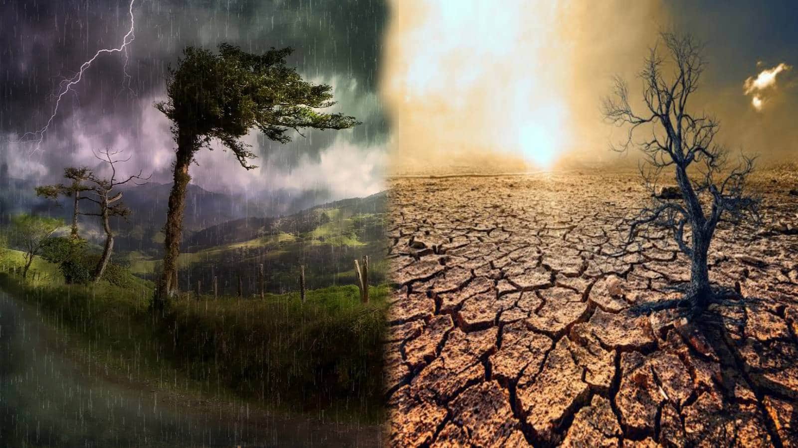 El Nino Risks: अगस्त में अल नीनो बढ़ा सकता है मुश्किलें! बारिश का घाटा 12% पर आया पर ये रिपोर्ट चिंता बढ़ाने वाली