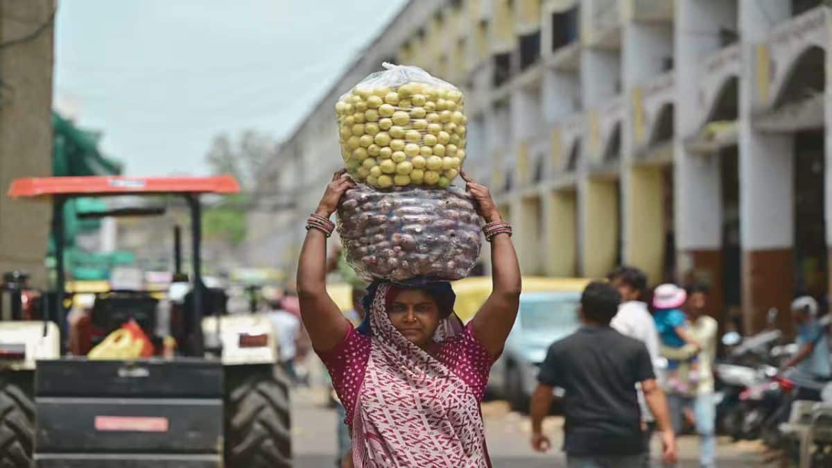 El Nino Impact: क्या अल-नीनो बिगाड़ेगा भारत की जीडीपी का खेल? सिटीग्रुप के अर्थशास्त्री ने की ये प्रेडिक्शन 
