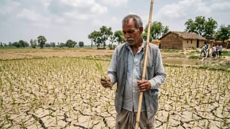 El Nino Impact: 2 दशकों में सबसे कमजोर मानसून का खतरा! अल नीनो ने बढ़ाई चिंता, जानिए अर्थव्यवस्था पर क्या होगा असर