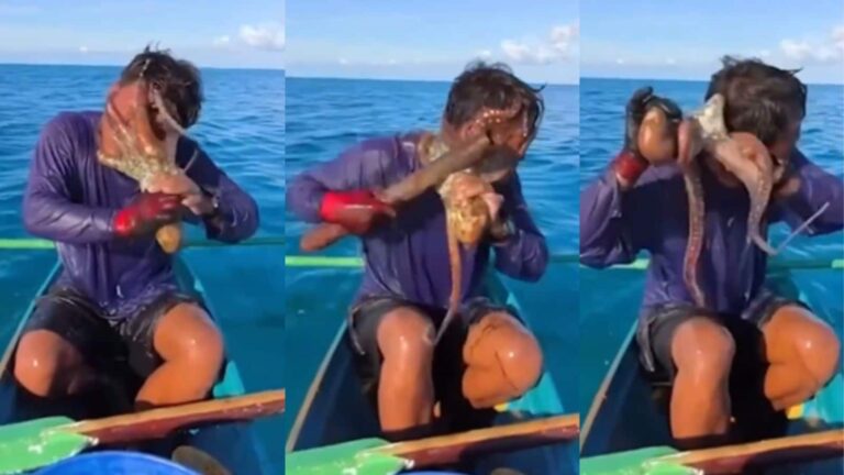 VIDEO: मछली पकड़ने गया था और चेहरे पर इतनी बुरी तरह चिपक गया ऑक्टोपस! छूटने के लिए बांस से करनी पड़ी पिटाई