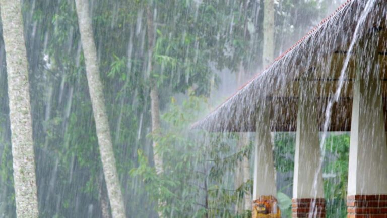 कल का मौसम: 22 अगस्त को मूसलाधार बारिश की चेतावनी! IMD ने बताया दिल्ली-यूपी से लेकर MP-बिहार के मौसम का हाल