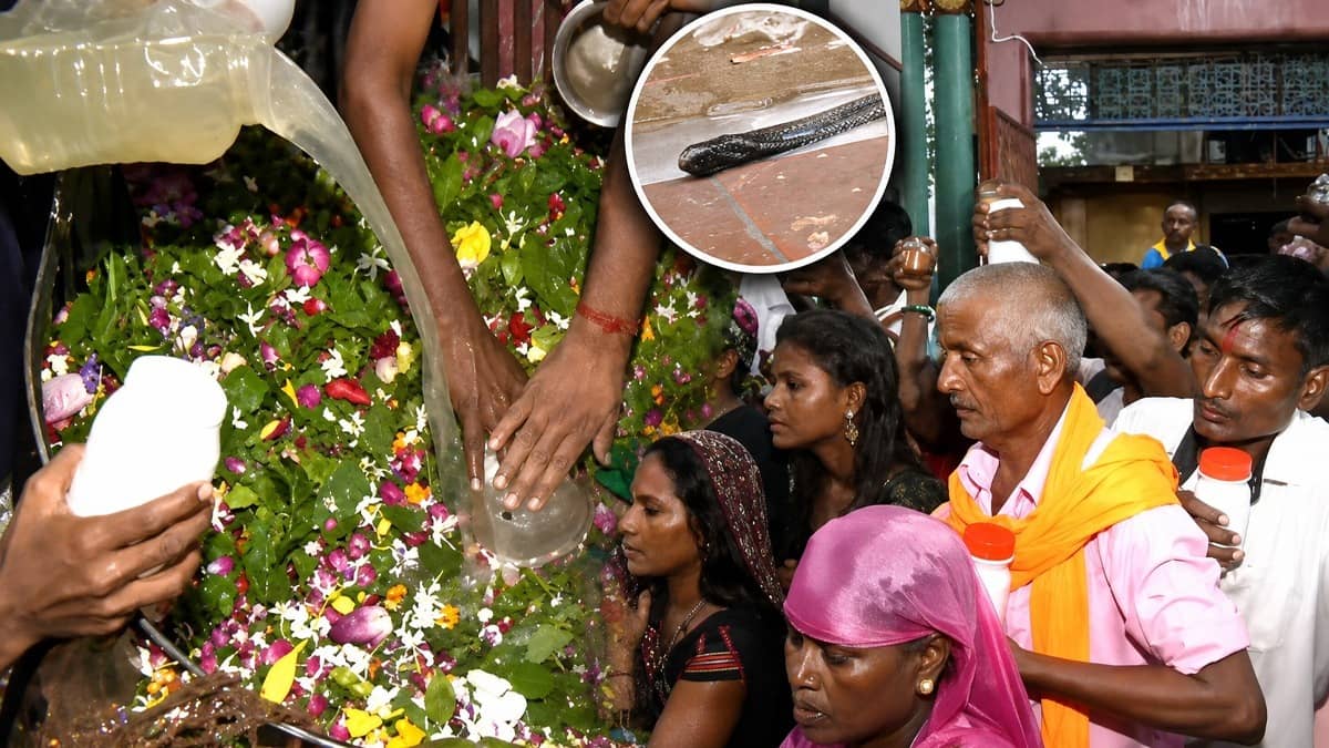 सावन के तीसरे सोमवार पर शिवमय हुई रामनगरी, नागपंचमी पर नागेश्वरनाथ मंदिर में जलाभिषेक के लिए उमड़ा श्रद्धालुओं का सैलाब; सुरक्षा के पुख्ता इंतजाम