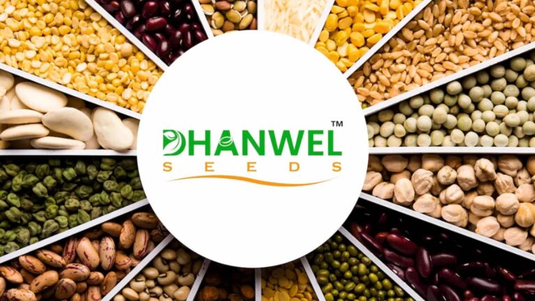 Dhanwel Seeds लिस्ट होते ही लोअर सर्किट पर, ₹99 के शेयरों ने खुदरा निवेशकों को इस कारण दिया अधिक शॉक