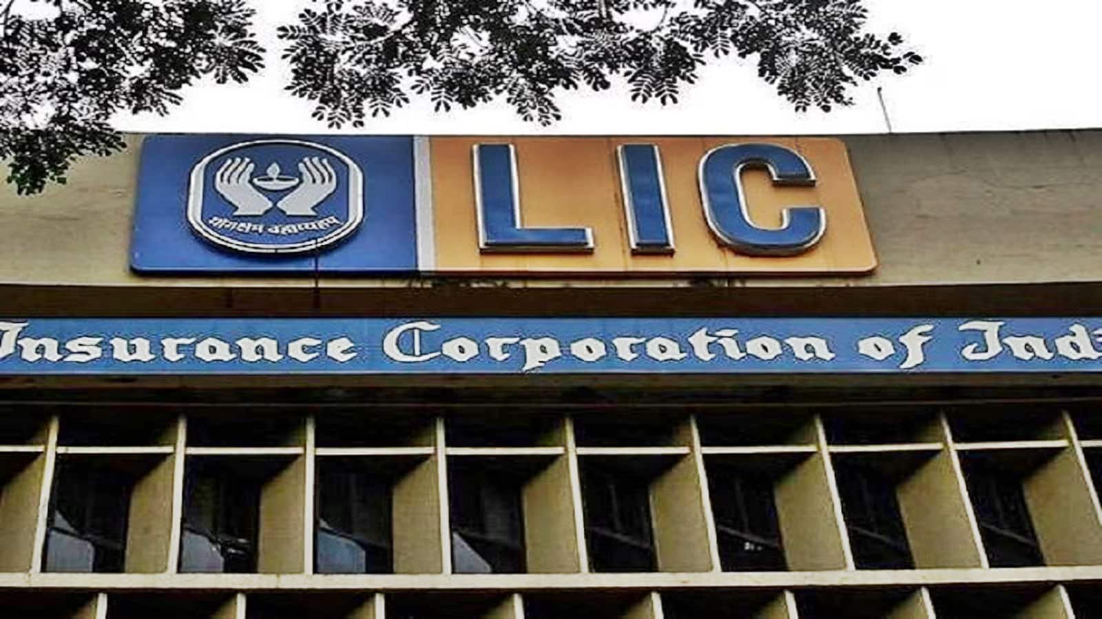 LIC Q1 Results: प्रॉफिट 23% बढ़कर 13492 करोड़ रुपये, कुल इनकम 237848 करोड़