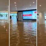 Noida Airport Water Logging: नोएडा एयरपोर्ट की पार्कंग बनी दरिया तो गरमाई सियासत, अखिलेश यादव ने उठाए सवाल; नेटिजंस ने लिए मजे, VIDEO