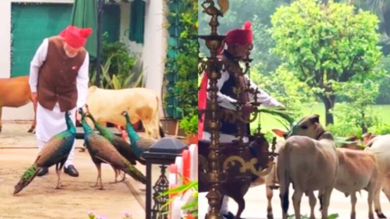 लाल किले के लिए निकलने से पहले 'दोस्तों' से मिले PM मोदी, मोर को दाना तो गाय को खिलाया चारा; खुद शेयर किया दिलचस्प VIDEO