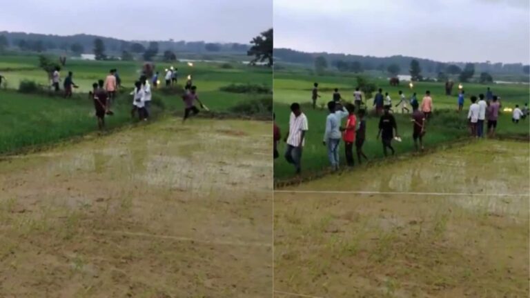 Video: कीचड़ और घुटनों तक पानी में भी नहीं थमी हाथी की रफ्तार, टॉर्च दिखाकर भगाने की कोशिश पर लोगों की ओर दौड़ा गजराज