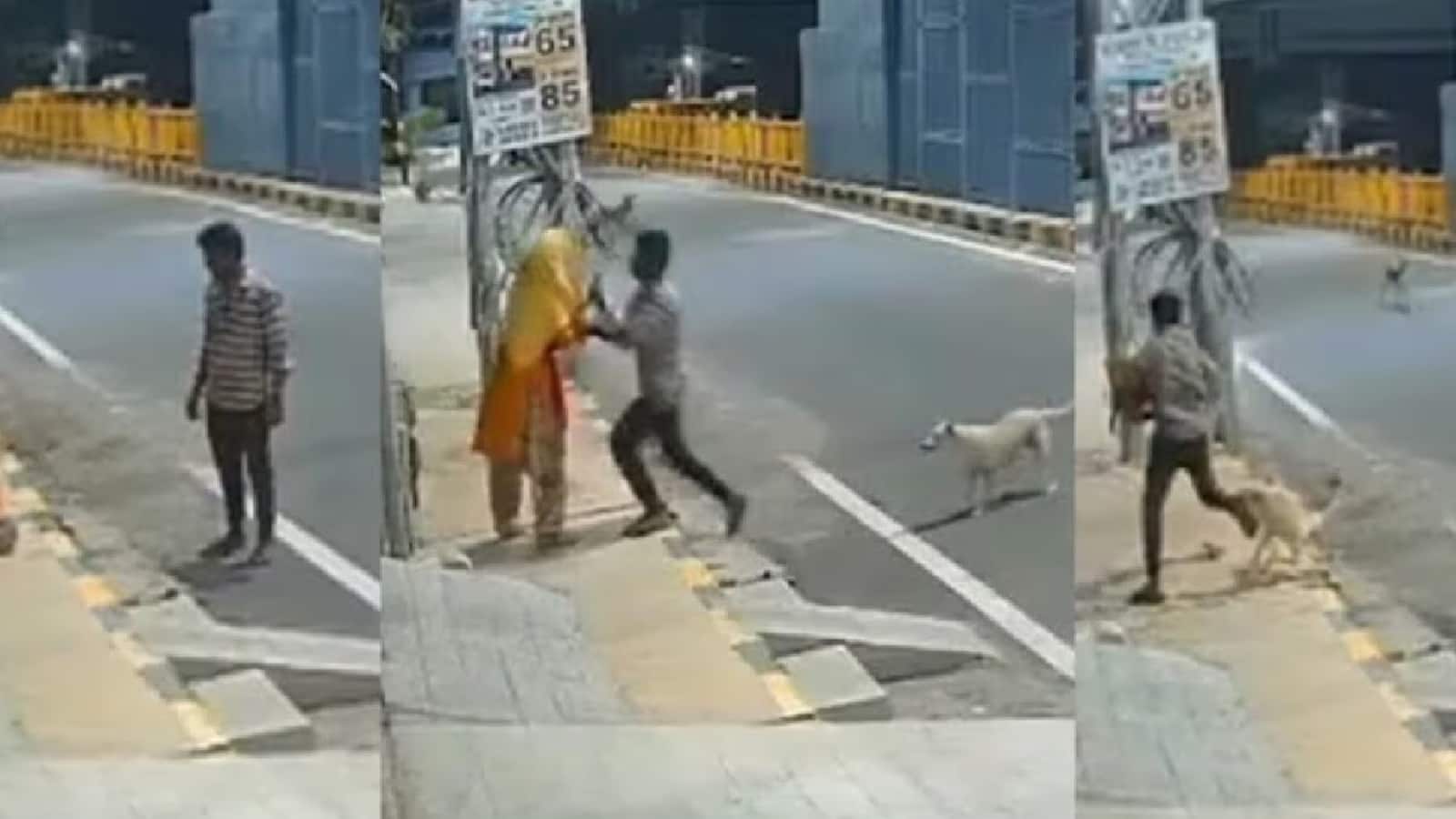 Viral Video: मानसिक रूप से बीमार महिला के साथ गलत हरकत करने पहुंचा था शख्स फिर स्ट्रीट डॉग्स ने उसे खदेड़ा!