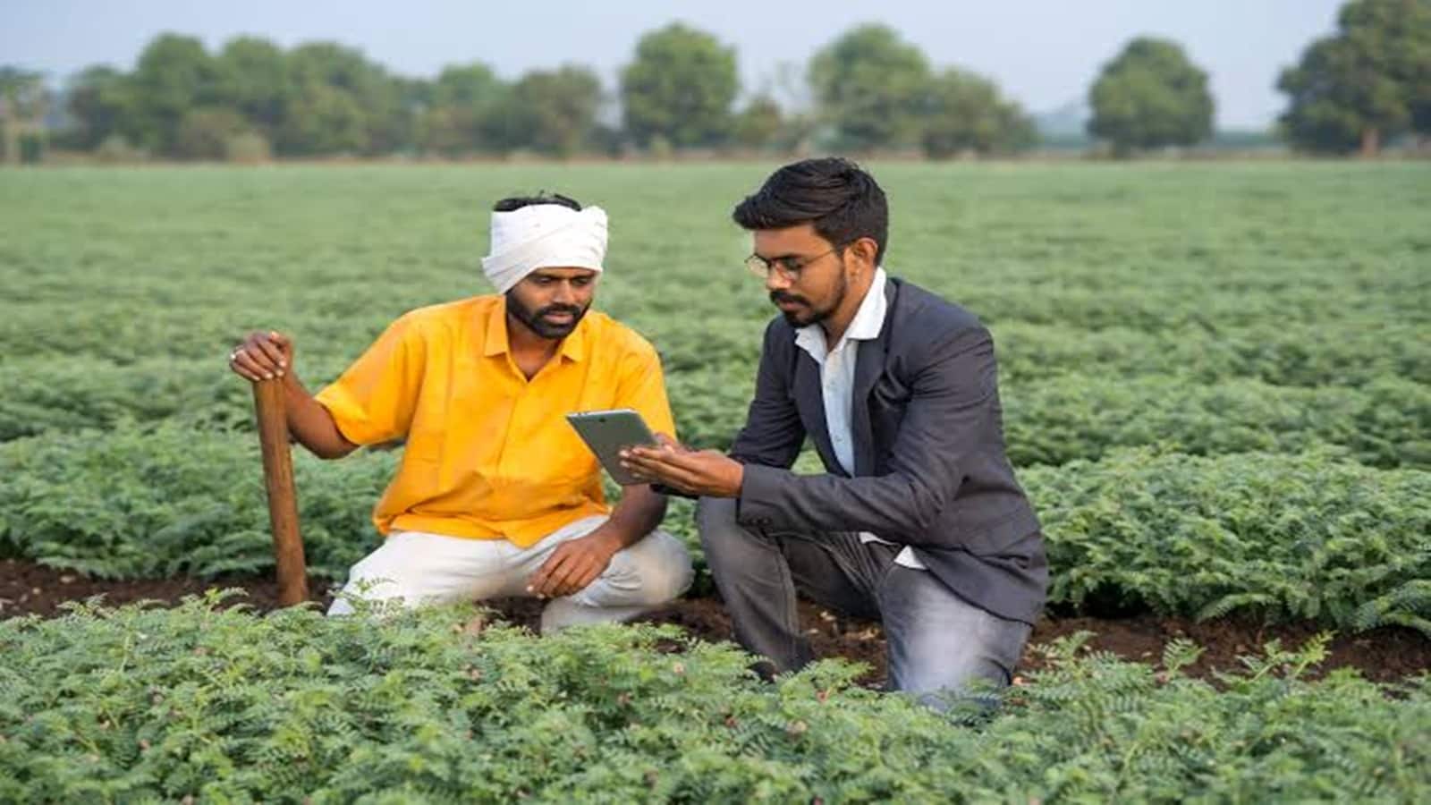 Farm Peace IPO Listing: लिस्ट होते ही लोअर सर्किट, फिर भी निवेशक तगड़े फायदे में, हर लॉट पर ₹95000 का मुनाफा