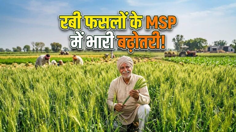 Wheat MSP hiked: रबी फसलों के MSP में भारी बढ़ोतरी! गेहूं का भाव ₹2610 तो सरसों 6613 रुपये प्रति क्विंटल हुआ