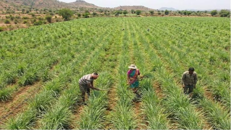 Quanto Agroworld IPO Listing: पूरा नहीं भर पाया था खुदरा निवेशकों का हिस्सा, अब ₹67 का शेयर फ्लैट लिस्ट