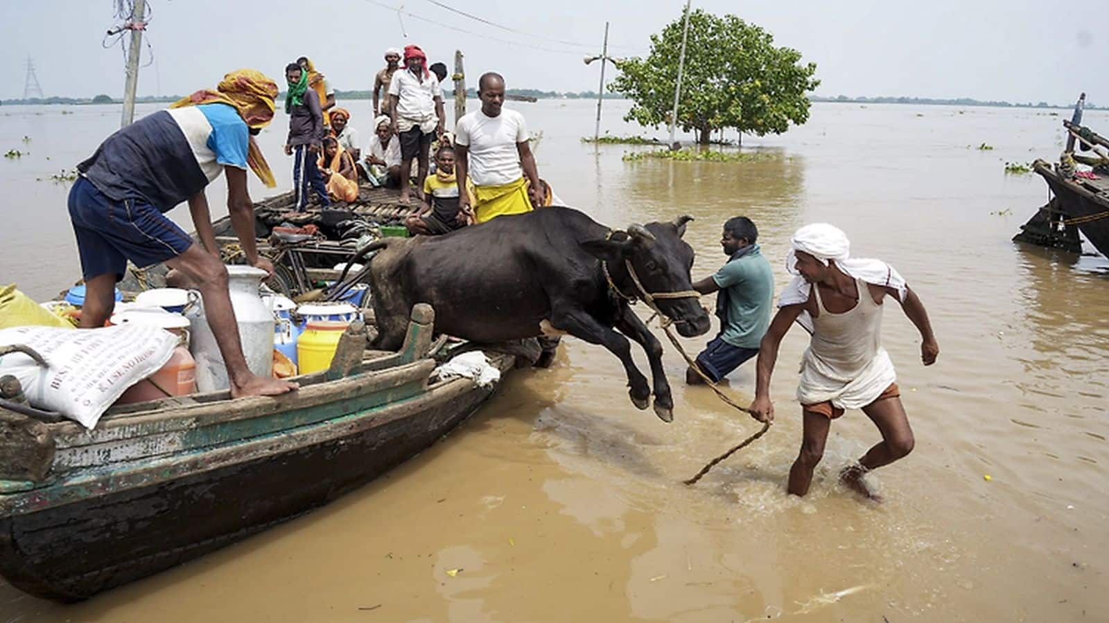 Bihar Flood Crisis: पटना में गंगा का जलस्तर बढ़ने से बिहार में हाई अलर्ट, निचले इलाकों में बाढ़ से 19 लाख लोग प्रभावित