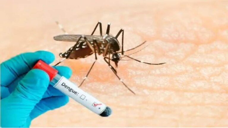 Dengue Vaccine: जापान के ताकेदा फार्मा के साथ डील के बाद भारत में 2027 से बिकेगी डेंगू वैक्सीन, भारत के दवा नियामक ने जुलाई में दी थी मंजूरी