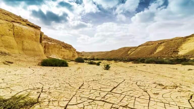 Drought in Maharashtra : महाराष्ट्र में सूखा घोषित, जानिए किन शेयरों पर पड़ सकता है इसका असर