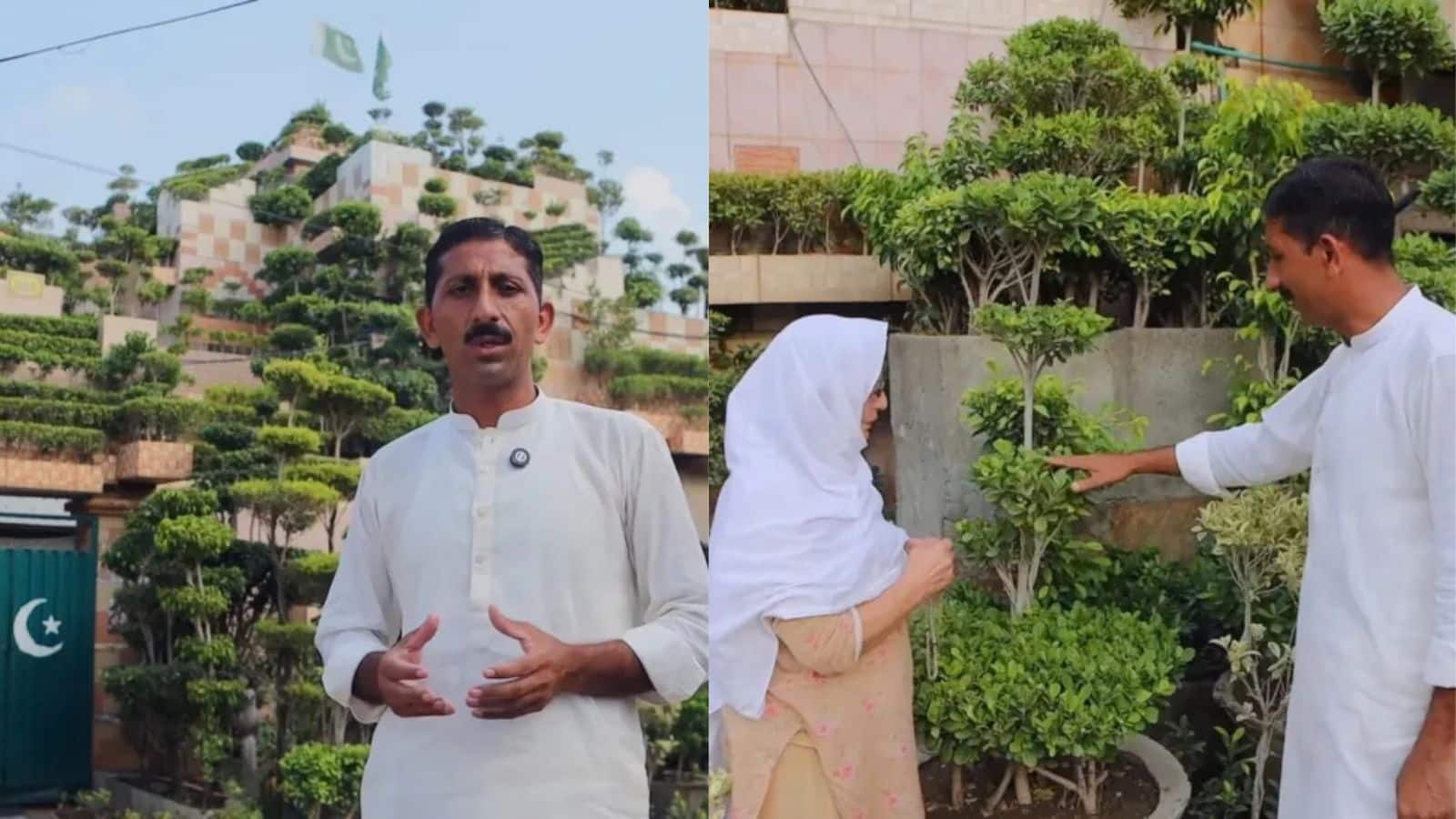 Video: 5,700 पौधों से भर दिया पूरा घर, इस पाकिस्तानी शख्स ने आखिर क्यों उठाया ये कदम?