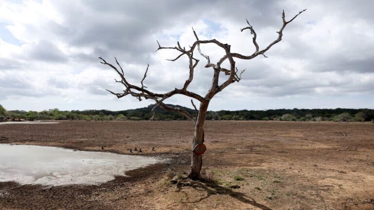 El Nino effect: अल नीनो का कहर! जानिए भारत के पड़ोसी देश श्रीलंका में लाखों लोगों के सामने इसने कैसे खड़ा कर दिया जल संकट