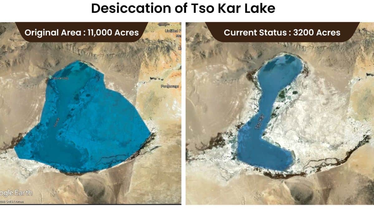 Ladakh Tso Kar Lake: 18000 फीट से आएगा 320 मिलियन लीटर पानी! 70% सिकुड़ चुकी इस शानदार झील को ऐसे मिलेगा नया जीवन