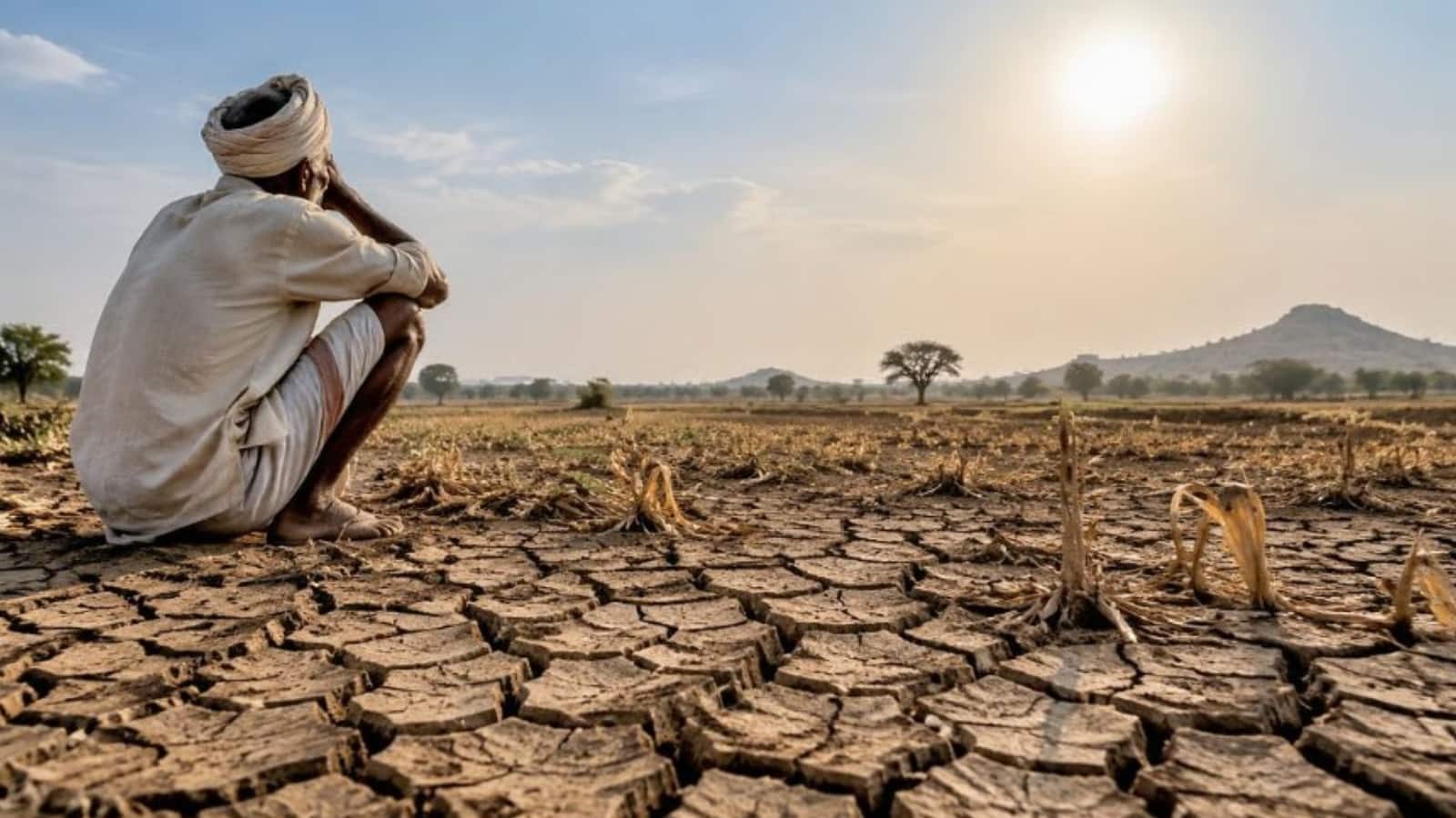 सूखे की मार झेल रहे महाराष्ट्र के 30 से ज्यादा जिले, जानें कैसे एक जिले को किया जाता है सूखाग्रस्त घोषित