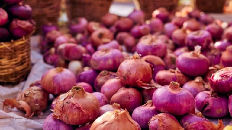 Onion Prices: बंगाल में 35 रुपये किलो के भाव से 1400 मिट्रिक टन प्याज बेचा जा चुका, 24 सितंबर को अब कोलकाता पहुंच रही कांदा एक्सप्रेस