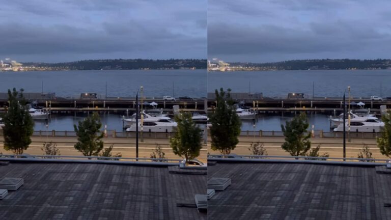 7 दिन के लिए अमेरिका, 5-स्टार होटल और शानदार Waterfront View! Salesforce कर्मचारी ने दिखाई अपनी ‘ऑफिस लाइफ’