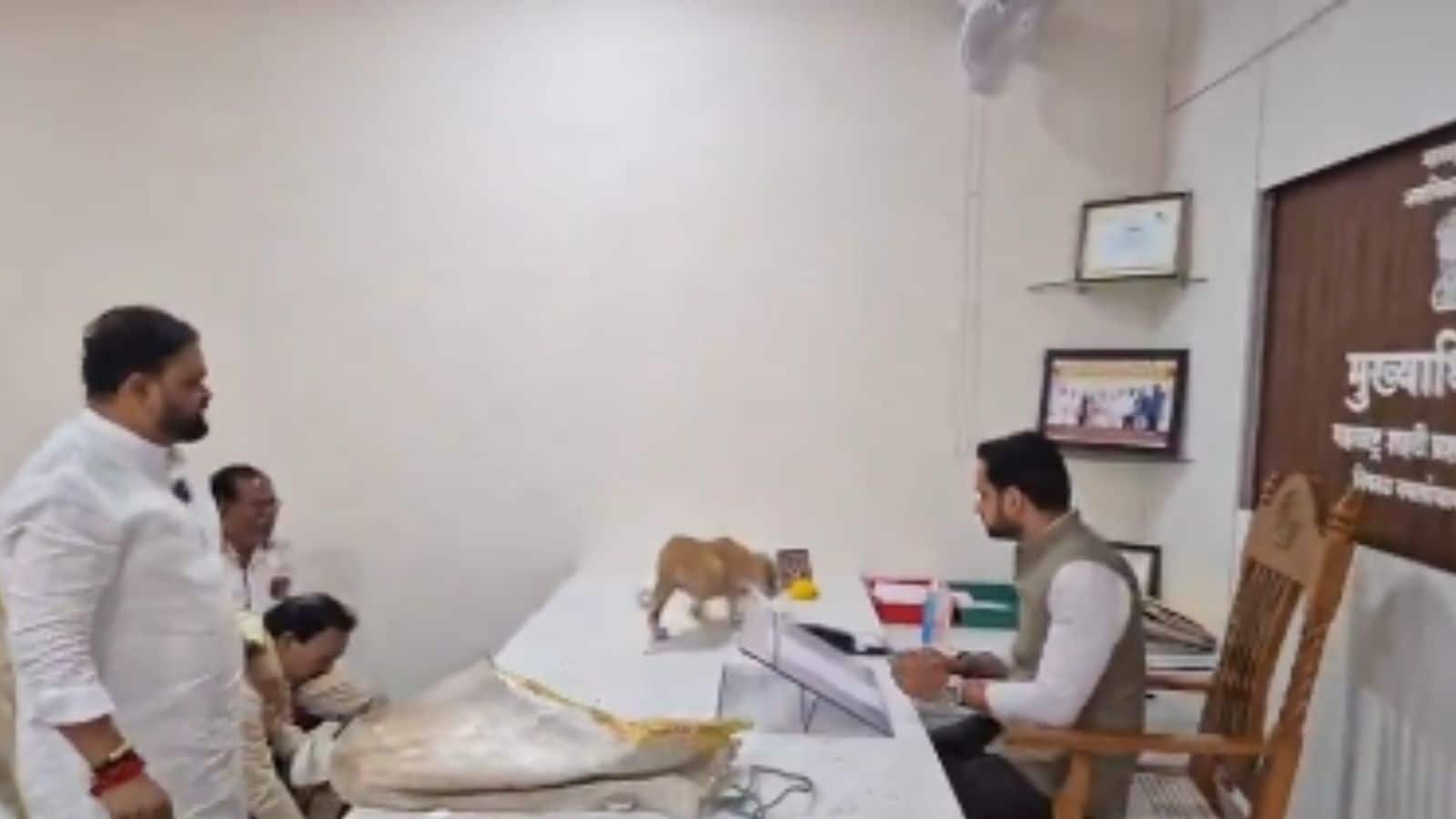 Video: कुत्तों के आतंक से परेशान लोगों ने किया ऐसा प्रदर्शन, अफसर के दफ्तर में ही छोड़ दिए आवारा कुत्ते!