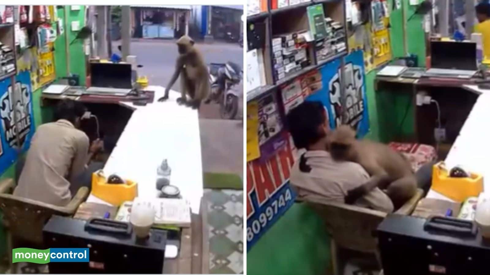 Viral Video: 'जादू की झप्पी'! जब बेजुबान बंदर ने दुकानदार को लगाया गले, CCTV में कैद हुआ दिल छू लेने वाला वीडियो, भावुक हुए यूजर्स