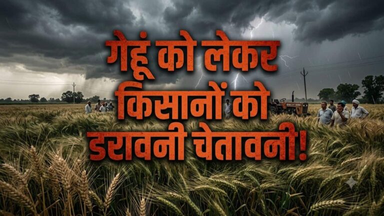 Climate impact Alert: जलवायु परिवर्तन की मार से गेहूं में होगा बड़ा बदलाव! रोटी की गुणवत्ता पर मंडराया खतरा; सेहत पर भी पड़ सकता है असर