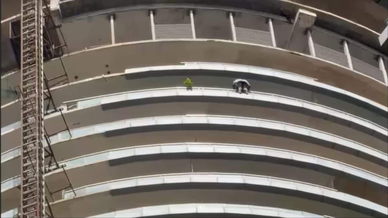 Noida News: 'मैं डिप्रेशन में हूं...'; नोएडा के सुपरनोवा बिल्डिंग की 43वीं मंजिल से कूदकर युवक ने दी जान, छलांग लगाने का दर्दनाक वीडियो वायरल