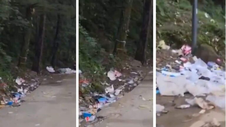 Viral Video: मैक्लॉडगंज में हर तरफ कचरे का ढेर! वायरल वीडियो देख भड़के लोग, टूरिस्ट पर उठे सवाल
